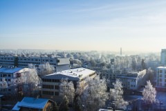 Winter at Tartu tartu winter
