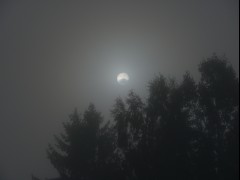 Foggy morning fog sun landscape