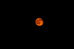 Red moon red moon
