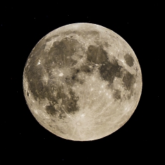 Moon moon