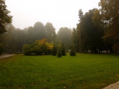 Foggy park in the morning fog park morning fall